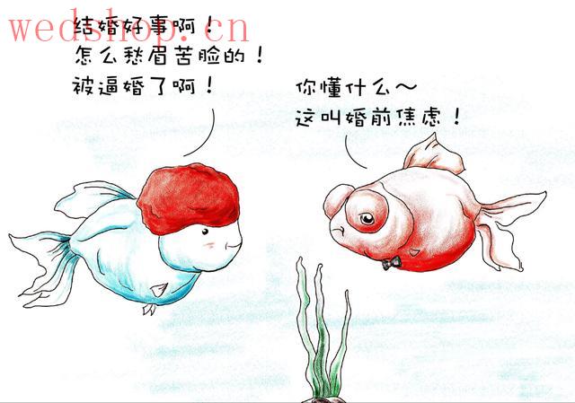 江西情感心理咨询 | 为什么情侣婚前容易吵架?婚前焦虑症怎么办