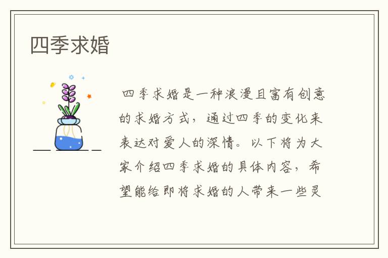 四季求婚

